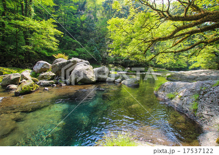菊池渓谷 17537122
