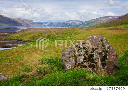 Seal bay, of Westfjords, Iceland 17537409