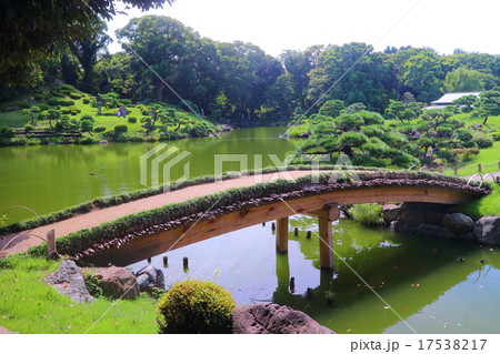 清澄庭園 17538217