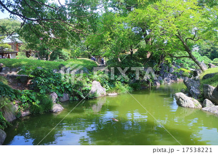 清澄庭園 17538221