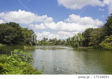 善福寺池 善福寺池 17538691