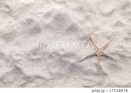 Starfish and crab on beach sand for summer Starfish and crab on beach sand for summer 17538978