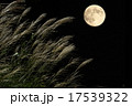 満月 17539322
