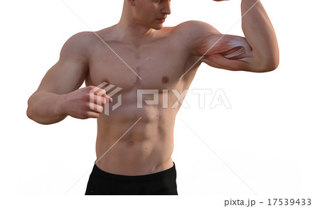 鍛えた躯の男性　perming3DCGイラスト素材 17539433
