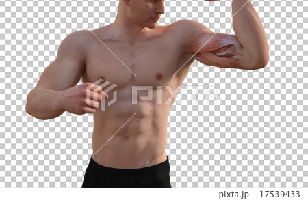 鍛えた躯の男性　perming3DCGイラスト素材 17539433