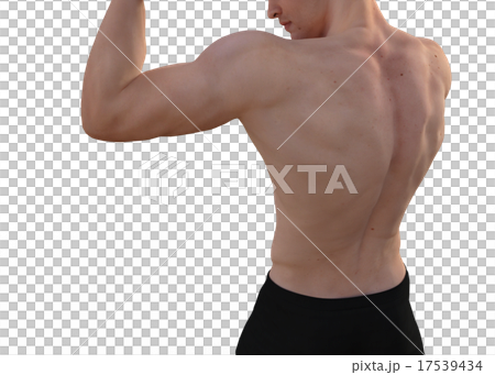 鍛えた躯の男性　perming3DCGイラスト素材 17539434