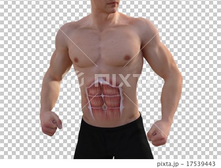 鍛えた躯の男性　perming3DCGイラスト素材 17539443