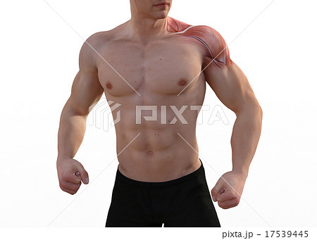 鍛えた躯の男性　perming3DCGイラスト素材 17539445