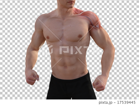 鍛えた躯の男性　perming3DCGイラスト素材 17539445