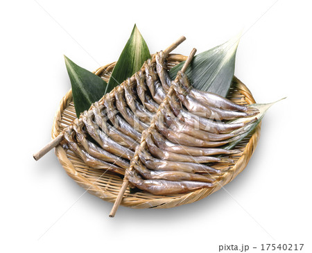ししゃもの干物 17540217