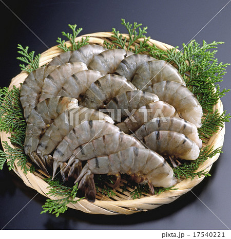 ブラックタイガー ブラックタイガー 17540221