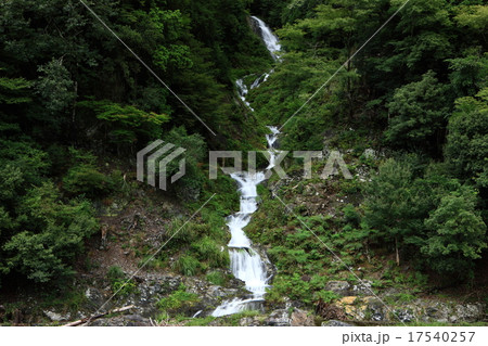 蓮如の滝 17540257