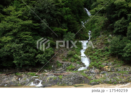 蓮如の滝 17540259