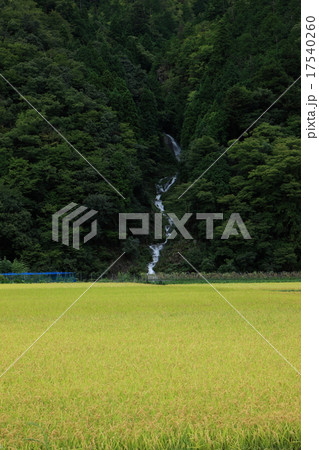 蓮如の滝 蓮如の滝 17540260