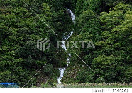 蓮如の滝 17540261