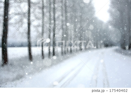 blurred background snowy forest nature park blurred background snowy forest nature park 17540402