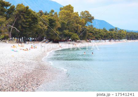 sunrise on the lake fog landscape nature 17541241