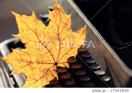 old typewriter concept autumn old typewriter concept autumn 17541650