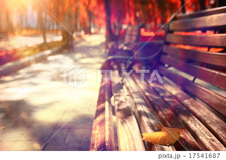 autumn park forest, landscape yellow autumn park forest, landscape yellow 17541687