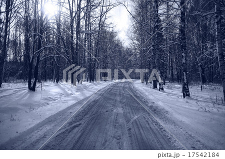 Winter road in snowy forest landscape Winter road in snowy forest landscape 17542184