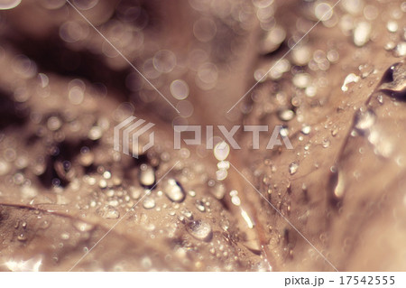 beige abstract texture bokeh blurred background beige abstract texture bokeh blurred background 17542555