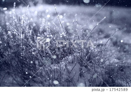 Christmas winter landscape in the forest Christmas winter landscape in the forest 17542589