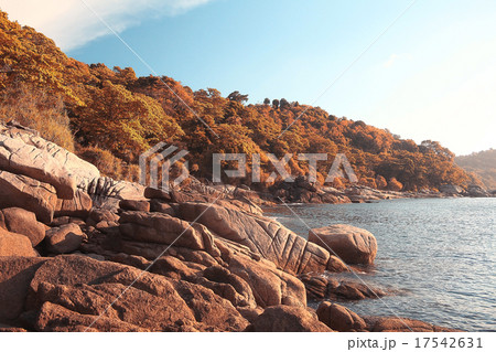 Asia Thailand jungle landscape 17542631