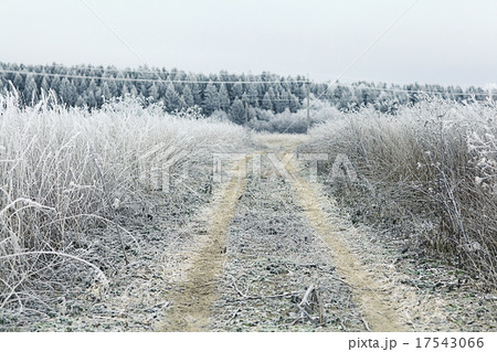 Snowy winter road in a field Snowy winter road in a field 17543066