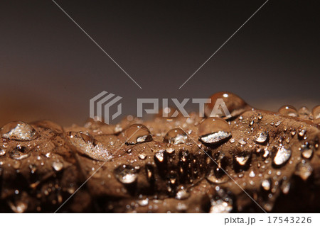 background leaves yellow drops of water 17543226