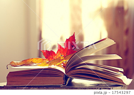 book pages yellow leaves of autumn concept book pages yellow leaves of autumn concept 17543297