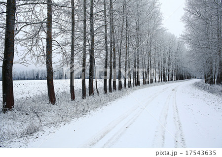 Snowy winter road in a field Snowy winter road in a field 17543635