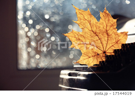 old typewriter concept autumn old typewriter concept autumn 17544019