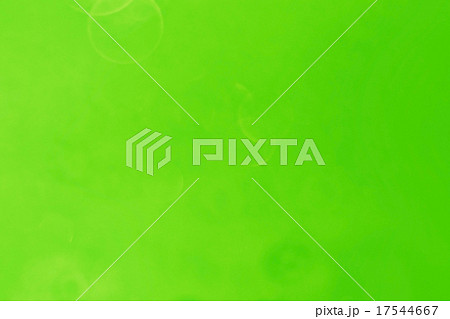 green blurred background texture bokeh drops 17544667