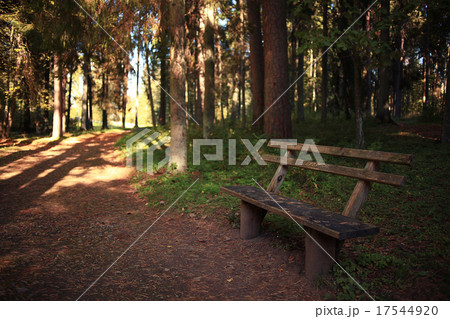 garden bench in autumn park landscape garden bench in autumn park landscape 17544920