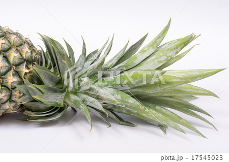 Fresh whole pineapple 17545023