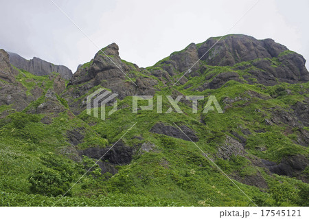 礼文島 礼文島 17545121