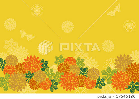菊の花の背景 17545130