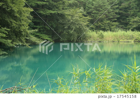 五色沼の景色 17545158