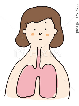 健康な肺の女性 17545222