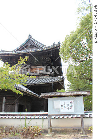 大樹寺 17545396