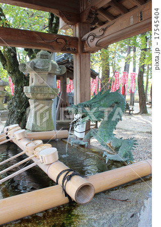 大樹寺 大樹寺 17545404