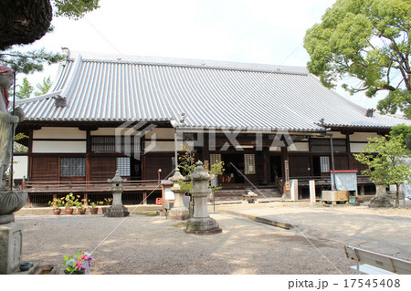 大樹寺 大樹寺 17545408