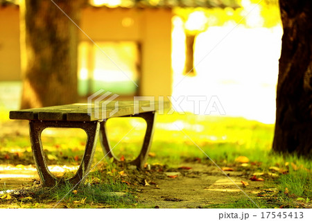 bench！！ 17545413