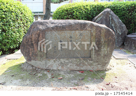 大樹寺 17545414