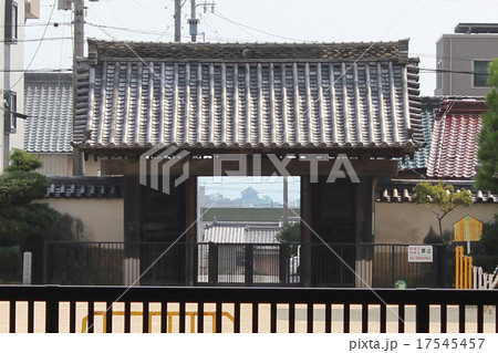 大樹寺 大樹寺 17545457