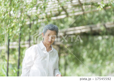 80歳のおばあちゃん　散歩 17545592