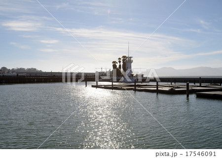 アメリカ　サンフランシスコ　ピア39 17546091