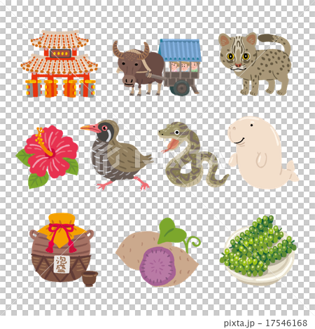 Okinawa Illustration 17546168
