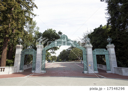 アメリカ　カリフォルニア　カリフォルニア州立大学 17546296