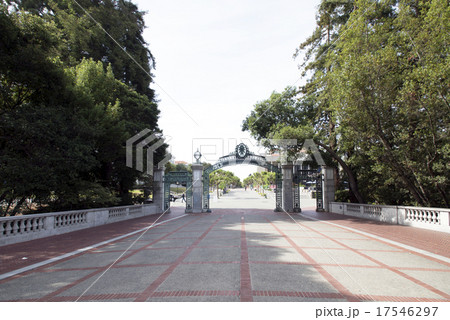 アメリカ　カリフォルニア　カリフォルニア州立大学 17546297